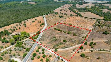 Solar con licencia a pocos minutos Son Serra de Marina photo 0