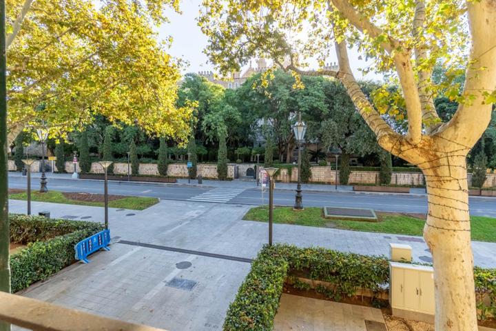 Espacio de oficinas frente a La Catedral y La Almudaina photo 0