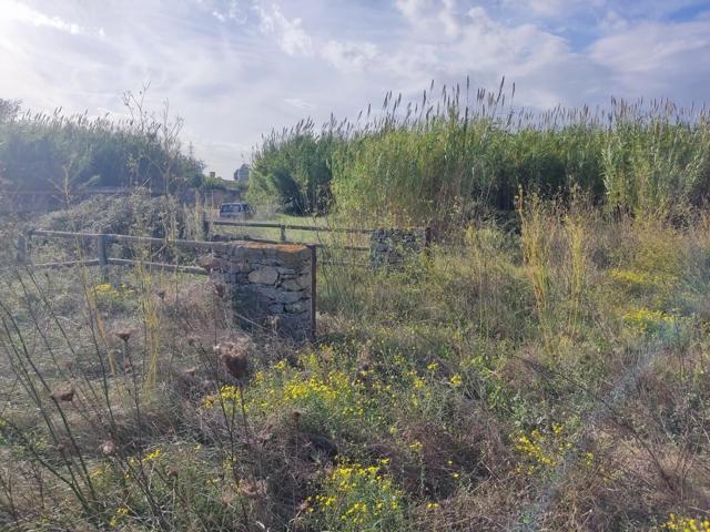 Suelo rústico - Palau-saverdera photo 0