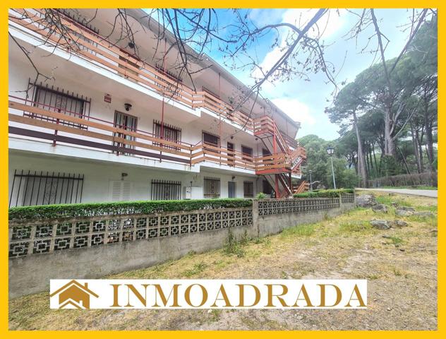Piso con amplia terraza en Bellas Vistas photo 0