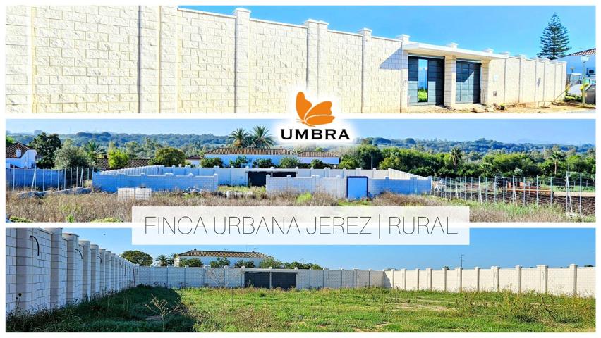 FINCA URBANA | 9300m² | AMURALLADO 2000m² | JEREZ RURAL (CADIZ) | INVERSION photo 0