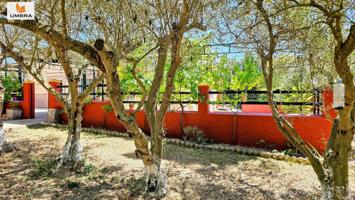 FINCA URBANA 18.000M2|CASA CAMPERA 86M2|JEREZ|LUZ DE RED|AGUA DE RIEGO|REGISTRADA COMPLETAMENTE photo 0