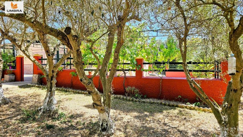 FINCA URBANA 18.000M2|CASA CAMPERA 86M2|JEREZ|LUZ DE RED|AGUA DE RIEGO|REGISTRADA COMPLETAMENTE photo 0