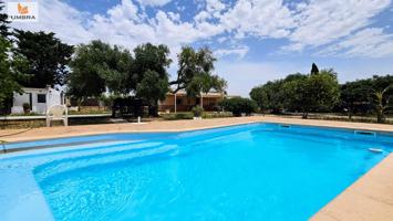 Chalet en Venta de una Sola Planta en Jerez | Parcela 2.066 m² con Olivos, Piscina y Placas Solares photo 0