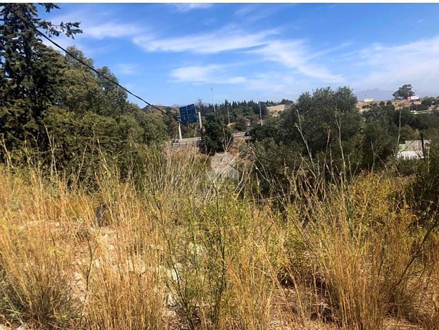 TERRENO EDIFICABLE DE 330 M2- ZONA LOS REALES photo 0