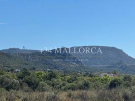Terreno Urbanizable En venta en Llucmajor photo 0