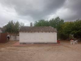 SE VENDE FINCA RUSTICA CON PEQUEÑA CASA Y TERRENO EN COCENTAINA photo 0