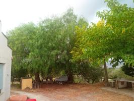 SE VENDE FINCA RUSTICA CON PEQUEÑA CASA Y TERRENO EN COCENTAINA photo 0