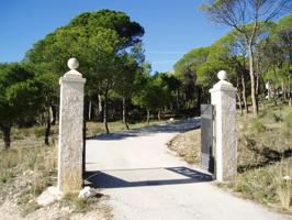 VENTA FINCA RUSTICA CON CASA EN ONIL--ZONA TORMO -CASTELLETS photo 0