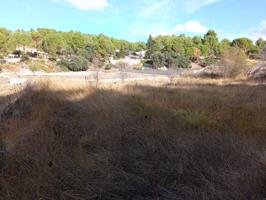 PARCELA EN EL SARGENTO - ALCOY photo 0