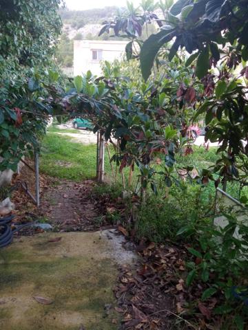 SE VENDE CASA DE CAMPO EN ZONA STA ROSA-BATOY photo 0