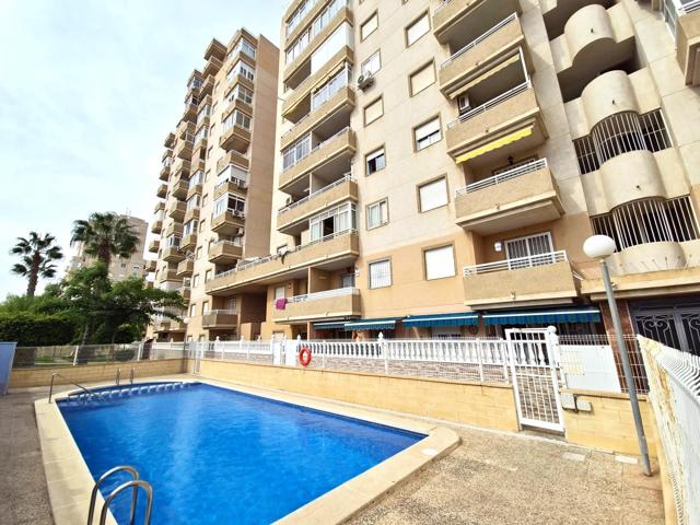 APARTAMENTO DE 2 DORMITORIOS CON BONITAS VISTAS Y PISCINA COMUNITARIA EN NUEVA TORREVIEJA. photo 0