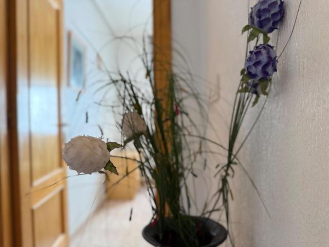 APARTAMENTO DE 3 DORMITORIOS ORIENTACION SUR CON TRASTERO Y GARAJE INCLUIDO EN PLENO CENTRO.¡¡ photo 0