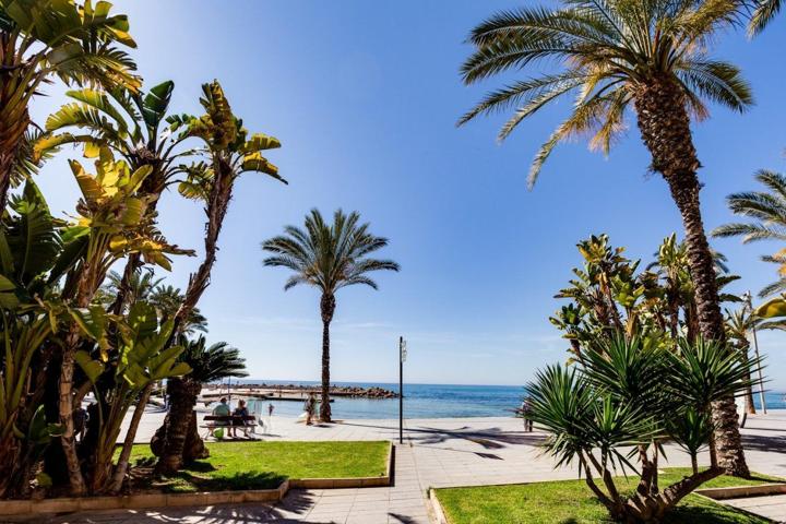 Piso En venta en La Mata Pueblo, Torrevieja photo 0