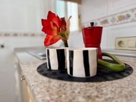 Atico de un dormitorio con amplia terraza   cerca de   la Playa del Cura en Torrevieja . photo 0