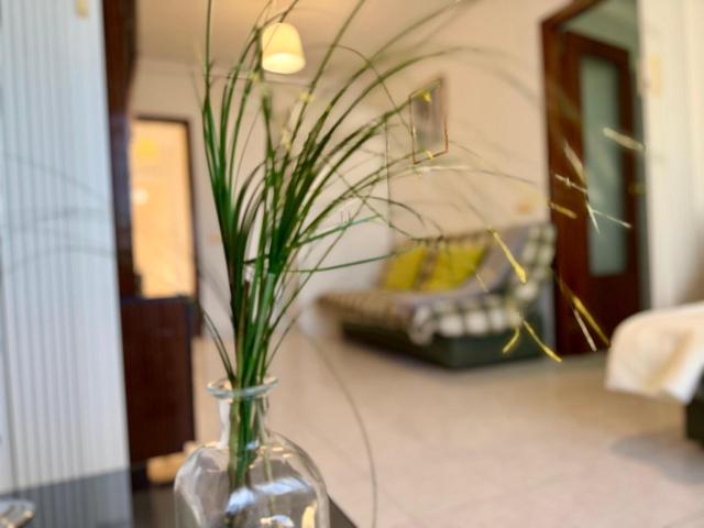 Ocasion increible ¡¡¡¡ Apartamento de un dormitorio con piscina comunitaria en Torrevieja photo 0