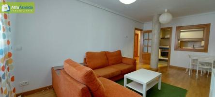APARTAMENTO DE DOS DORMITORIOS EN ALQUILER EN ARANDA DE DUERO photo 0