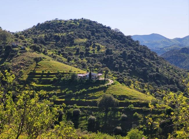 Casa Rural en Venta en BARRANCO DEL SOL (ALMOGÍA) , Málaga photo 0