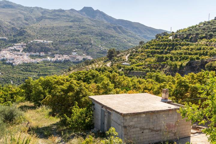 Magnífica Finca con Frutales y Construcciones photo 0