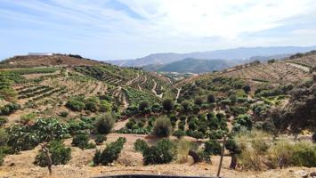 3 CASAS INDEPENDIENTES + FINCA DE 10.6 HECTAREAS DE CULTIVO ECOLOGICO EN LA AXARQUIA photo 0