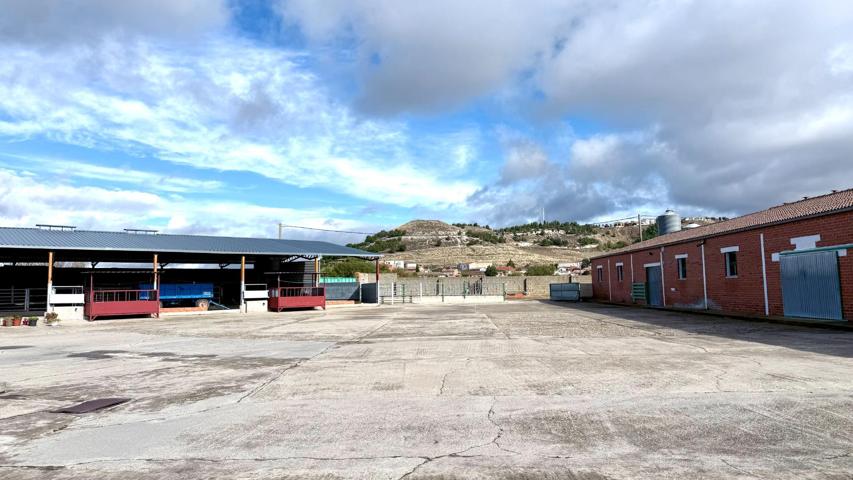 Finca agraria en venta en Camino Las Eras de Portillo. Ref.2067 photo 0