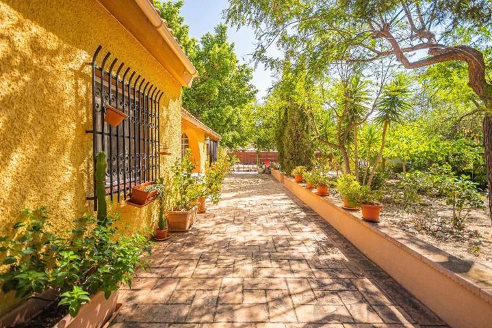 Casa de Campo , un rincon con encanto a 1 km de San Vicente del Raspeig photo 0