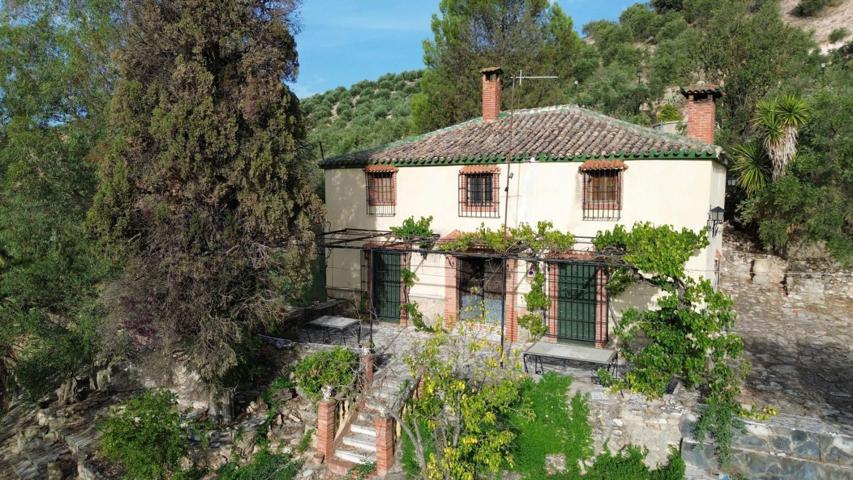 Cortijo con Olivares centenarios a 3 minutos de Priego de Cordoba photo 0