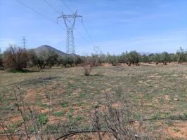 TERRENO RUSTICO EN ZONA EL TORREÓN-CHAPARRAL photo 0