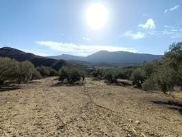 FINCA RUSTICA CERCA DE ANTEQUERA photo 0