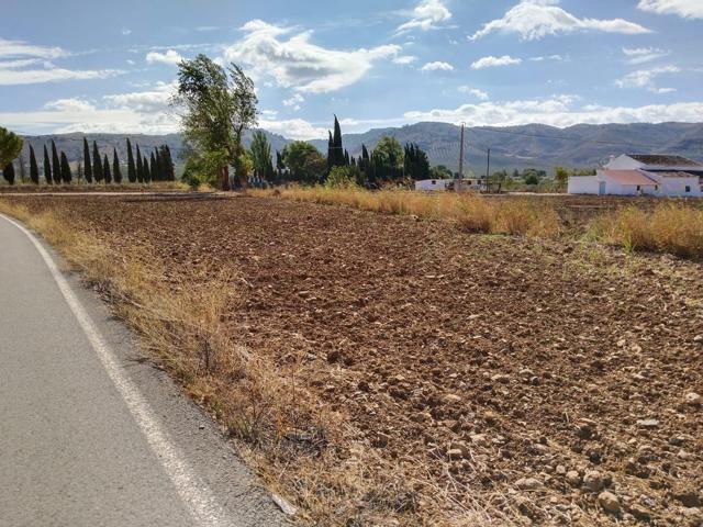 SE VENDE PARCELA, TOTALMENTE LEGALIZADA, EN ZONA DE ARCHIDONA photo 0