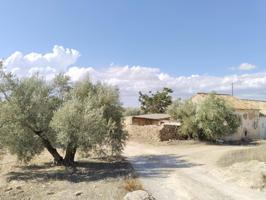 ¡SE VENDE FINCA RÚSTICA EN ANTEQUERA! photo 0