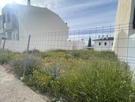 SOLAR EN ZONA FUENTE MORA SALE A LA VENTA¡¡¡¡¡¡¡¡¡¡¡¡ photo 0