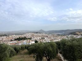 EN EXCLUSIVA PARCELA RUSTICA CON VIVIENDA CON LAS VISTAS MAS BONITAS DE ANTEQUERA¡¡¡¡¡¡¡¡¡¡¡¡¡¡ photo 0