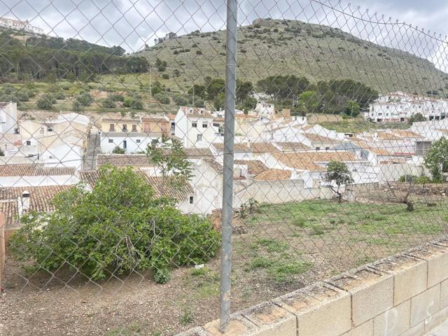 SOLARES URBANOS EN ARCHIDONA SALEN A LA VENTA¡¡¡¡ photo 0