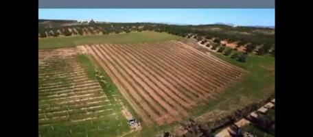 FINCA EN EL CORAZON DE ANDALUCIA SALE A LA VENTA¡¡¡¡¡¡¡¡¡¡¡¡¡¡ photo 0