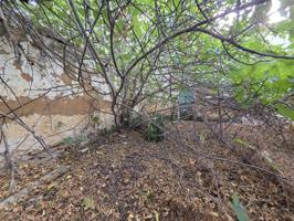 SOLAR EN FUENTE PIEDRA SALE A LA VENTA¡¡¡¡¡¡¡¡¡¡ photo 0