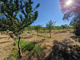 Agrícola En venta en Binaced photo 0