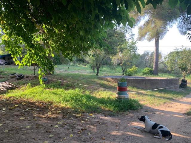 Agrícola En venta en Cubelles photo 0