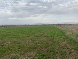 Agrícola En venta en Bellcaire d'Urgell photo 0