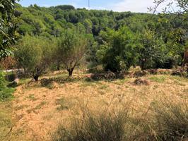 Agrícola En venta en Rubí photo 0