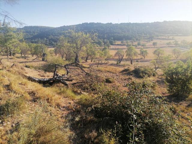 Agrícola En venta en La Puebla de Castro photo 0