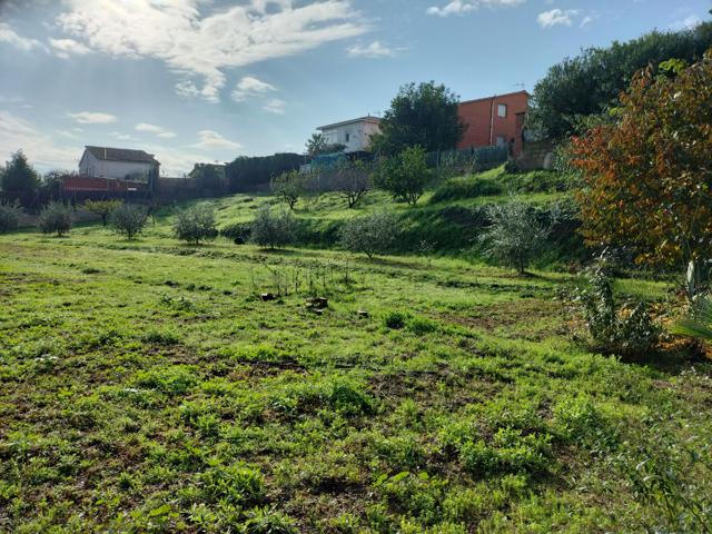 Agrícola En venta en Els Hostalets de Pierola photo 0