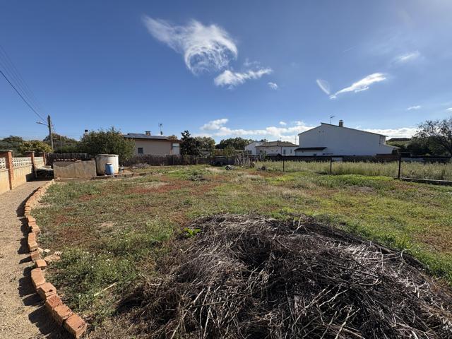 Agrícola En venta en Piera photo 0