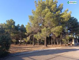 Agrícola En venta en Alba de Tormes photo 0