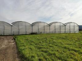 Agrícola En venta en Erandio photo 0