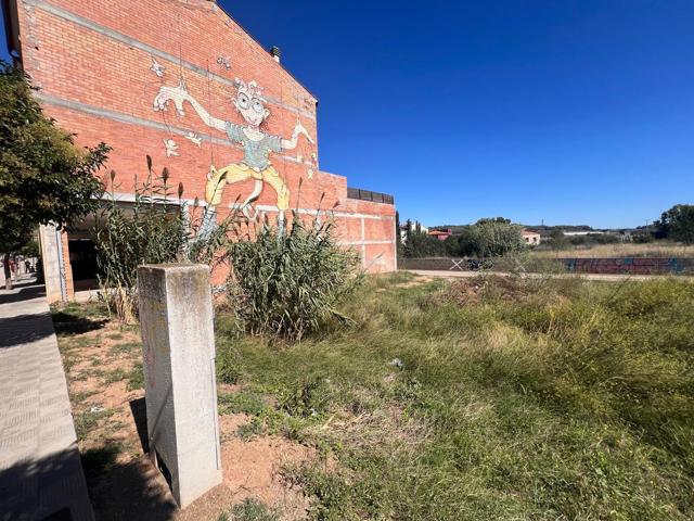 Agrícola En venta en Sant Pere de Riudebitlles photo 0