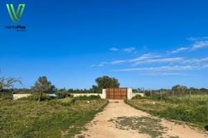 Casa para entrar a vivir con terreno en Algaida photo 0
