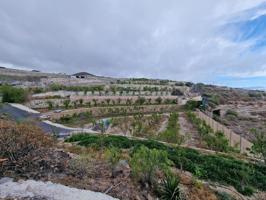 MAGNIFICA FINCA FASNIA REGISTRADA photo 0