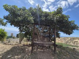 PRECIOSA FINCA EN GÜIMAR LA MEDIDA photo 0