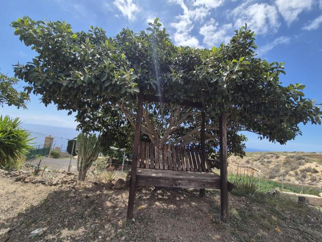 PRECIOSA FINCA EN GÜIMAR LA MEDIDA photo 0